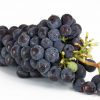 KIT (RESVERATROL) - KIT C/ 3 FRASCOS 180 Cápsulas 500 mg - Imagem 3