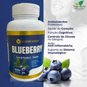 Blueberry Mirtilo 500mg Rico em Vitamina C