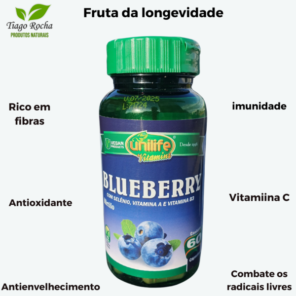 Blueberry Mirtilo 500mg Rico em Vitamina C