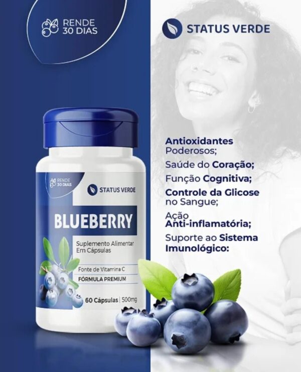 Blueberry Mirtilo 500mg Rico em Vitamina C