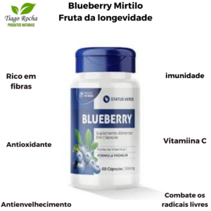 Blueberry Mirtilo 500mg Rico em Vitamina C