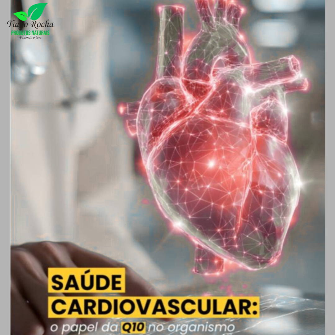 Coenzima Q10 Tiago Rocha A Vitamina do Atleta - Imagem 3