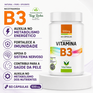 Vitamina B3 (Nicotinamida) 60 caps 500 mg