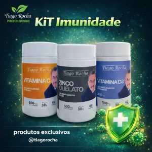 KiT3 Imunidade Zinco Vitamina C e D3