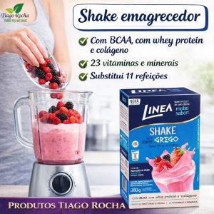 Shake Sabor Iogurte Grego Frutas Vermelhas
