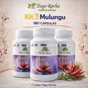 Kit3 mulungu