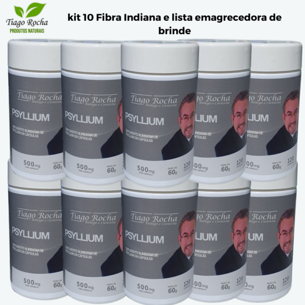 Kit10 potes Emagrecedor Psyllium Tiago Rocha 1200 cápsulas