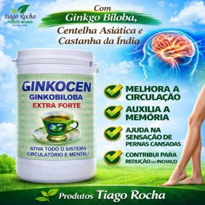 Ginkocen Extra Forte Circulação