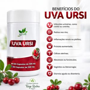 Uva Ursi Próstata Sistema Urinário Rins