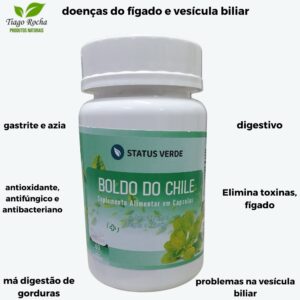 Boldo Chile Digestivo fígado vesícula estômago