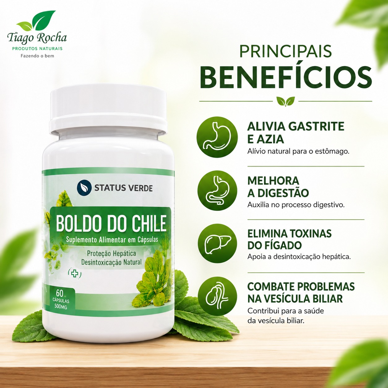 Boldo do Chile – Digestão, Fígado, Vesícula e Estômago 500mg 60cáps