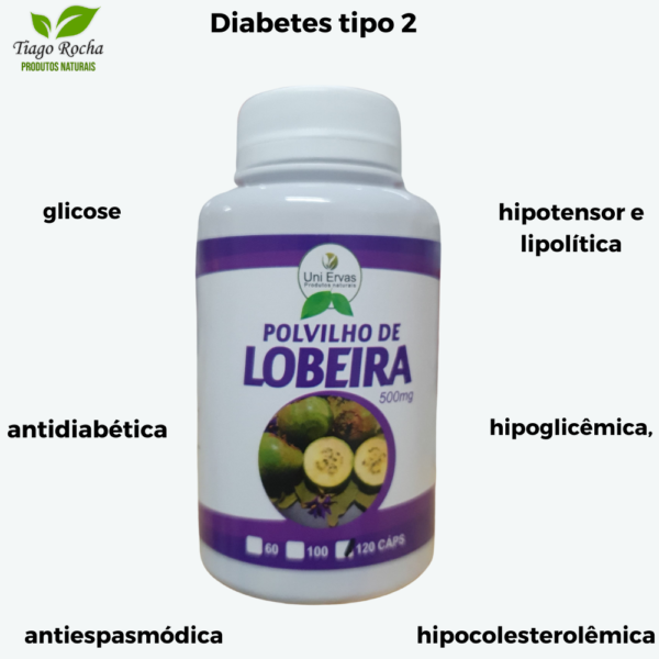 Polvilho de Lobeira Diabetes Pâncreas