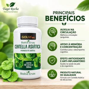Centella Asiática Sistema Circulatório