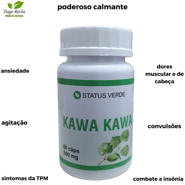 Kawa Kawa Cérebro Ansiedade 60 cáps