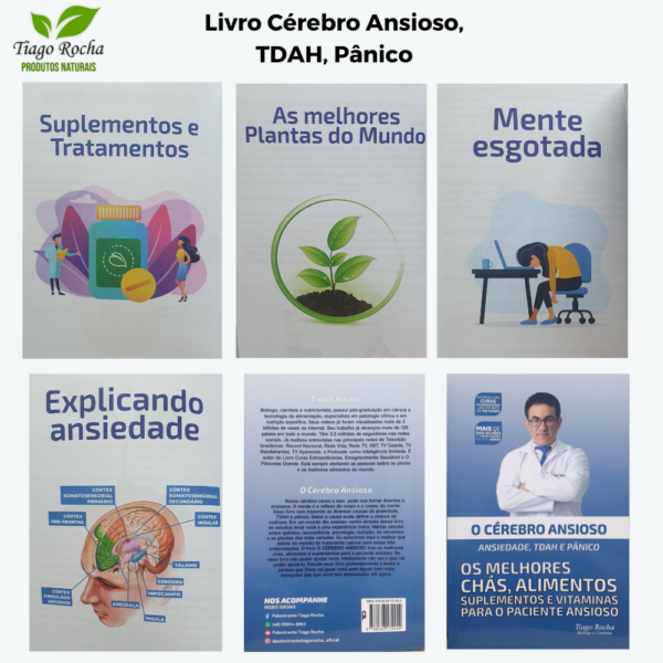 LIVRO "O Cérebro Ansioso" Frete Grátis