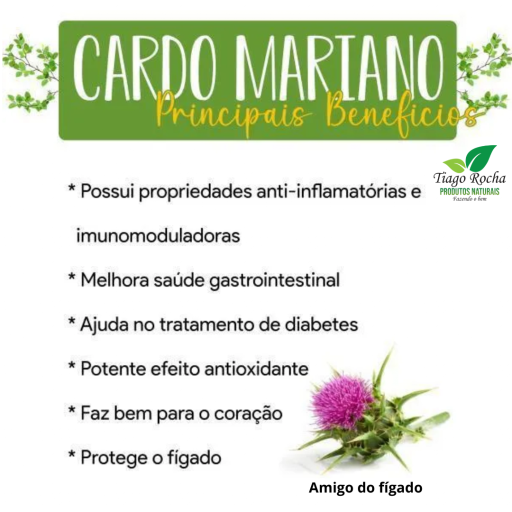 Cardo Santo Mariano Fígado 60 cápsulas - Produtos Naturais Tiago Rocha