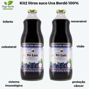 kiT2 L Suco de Uva Bordô 100%