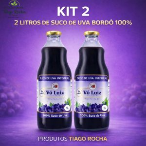 kiT2 Suco de Uva Bordô 100%