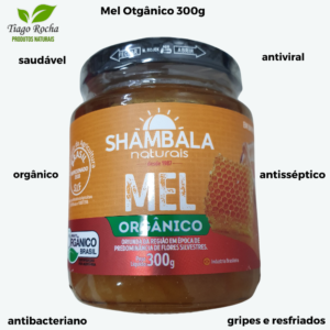 Mel silvestre orgânico 300g