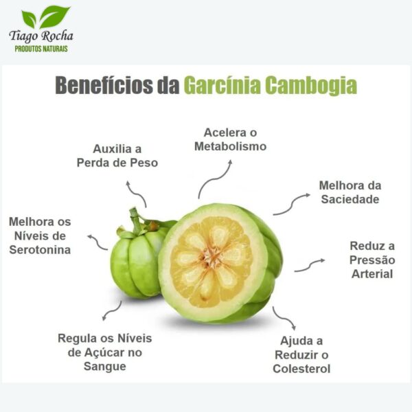 Chá Saciador de apetite Garcinia Camboja 100g