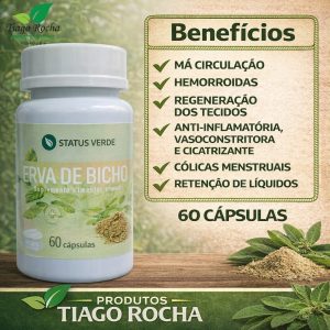 Erva de Bicho Circulação 60 Cápsulas