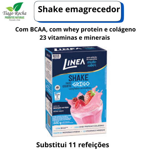 Shake Sabor Iogurte Grego Frutas Vermelhas