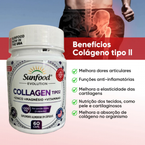 Collagen tipo2 articulações SF