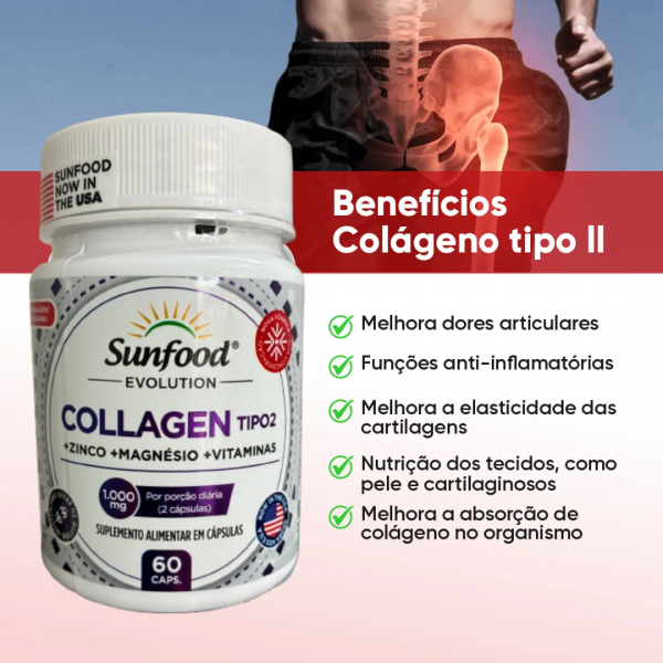 Collagen tipo2 articulações SF