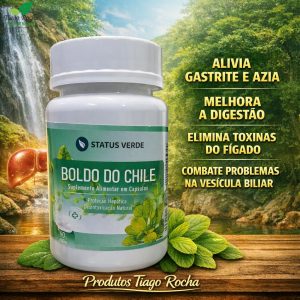 Boldo Chile Digestivo fígado vesícula estômago
