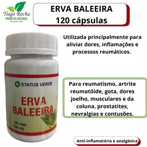 Erva Baleeira 120 cápsulas