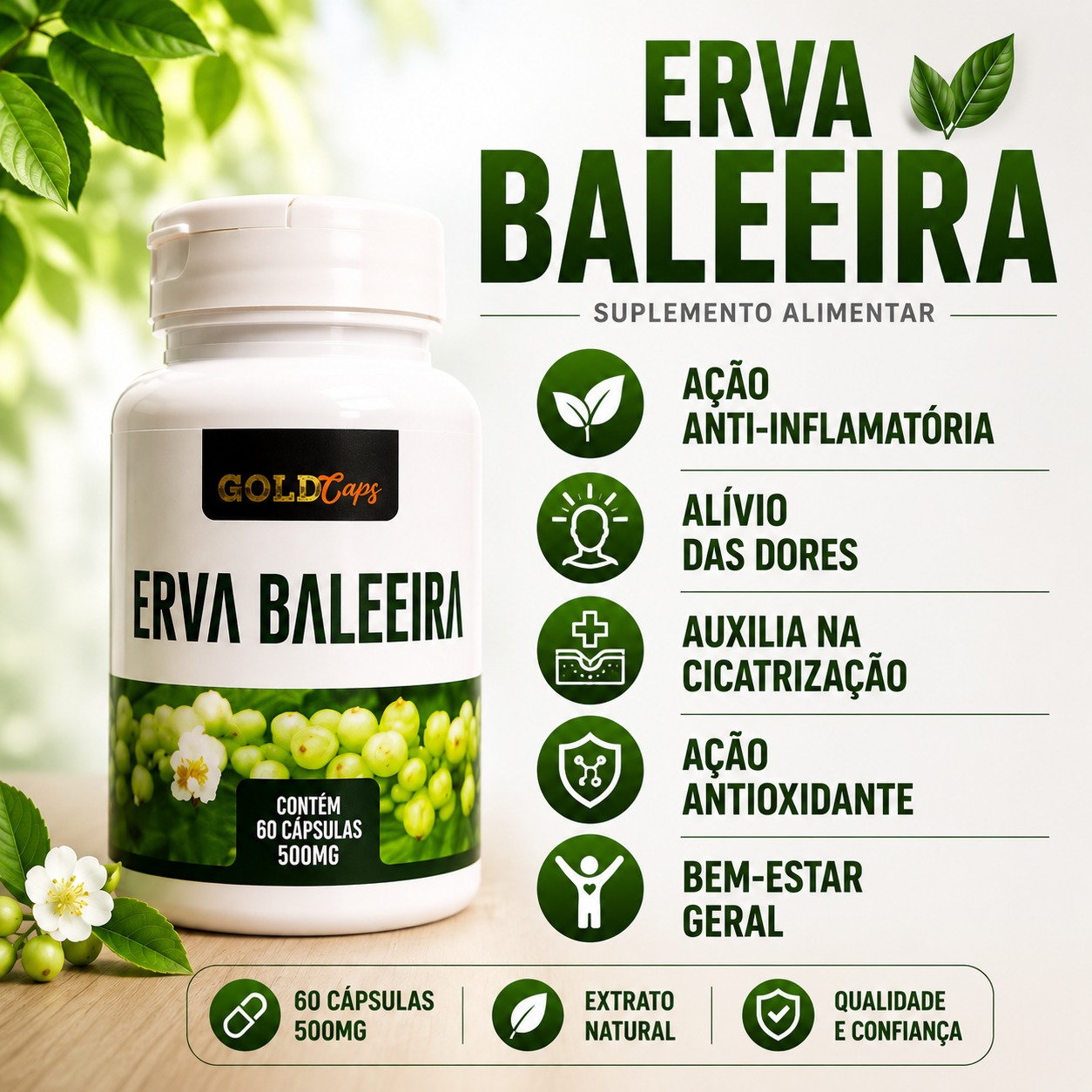 Erva Baleeira 60cápsulas dores e inflamações