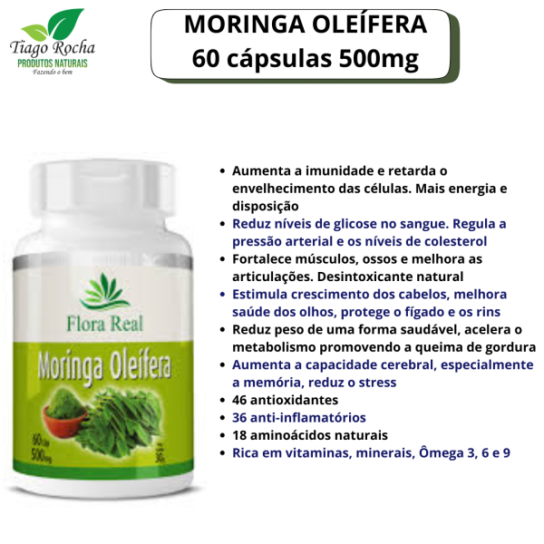 Moringa Oleifera 60 cápsulas
