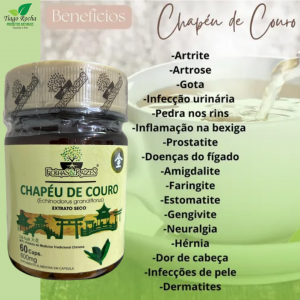 100% Extrato seco Chapéu de Couro 60cápsulas FR