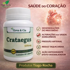 Crataegus 500Mg 60 Cápsulas coração