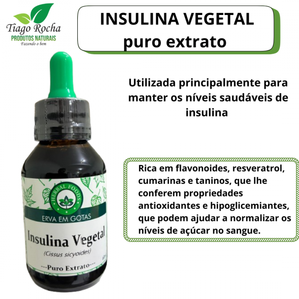 Insulina Vegetal 60ml gotas