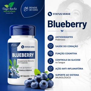 Blueberry Mirtilo 500mg Rico em Vitamina C 60 cáps
