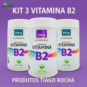 Kit3 Metabolismo energético Vitamina B2 (riboflavina)