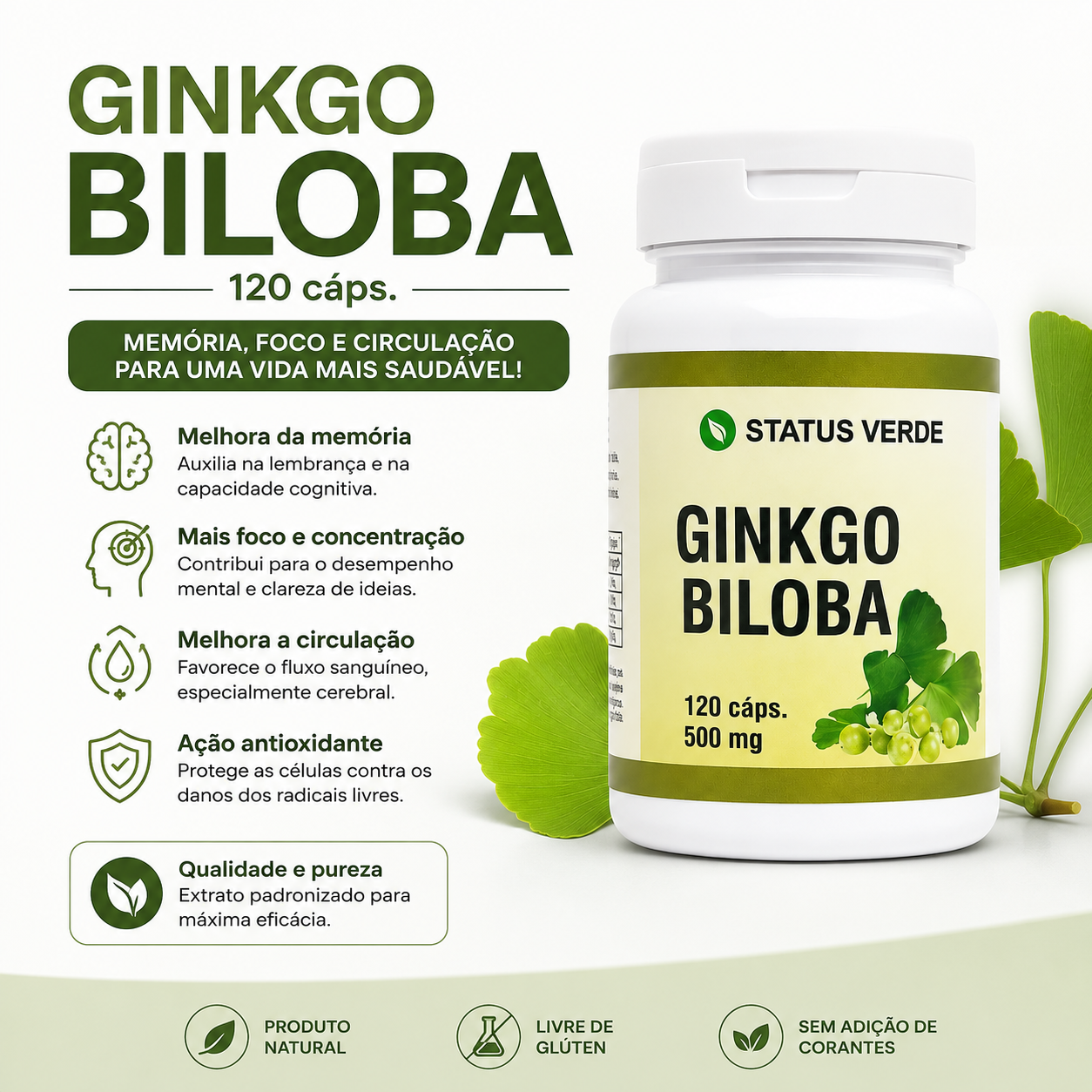 Ginkgo Biloba 120 cáps. - Saúde Mental