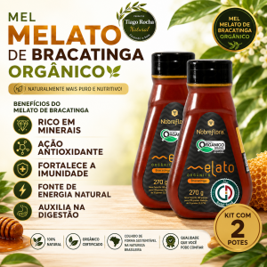 KIT2 Mel Orgânico Melato de Bracatinga 270g