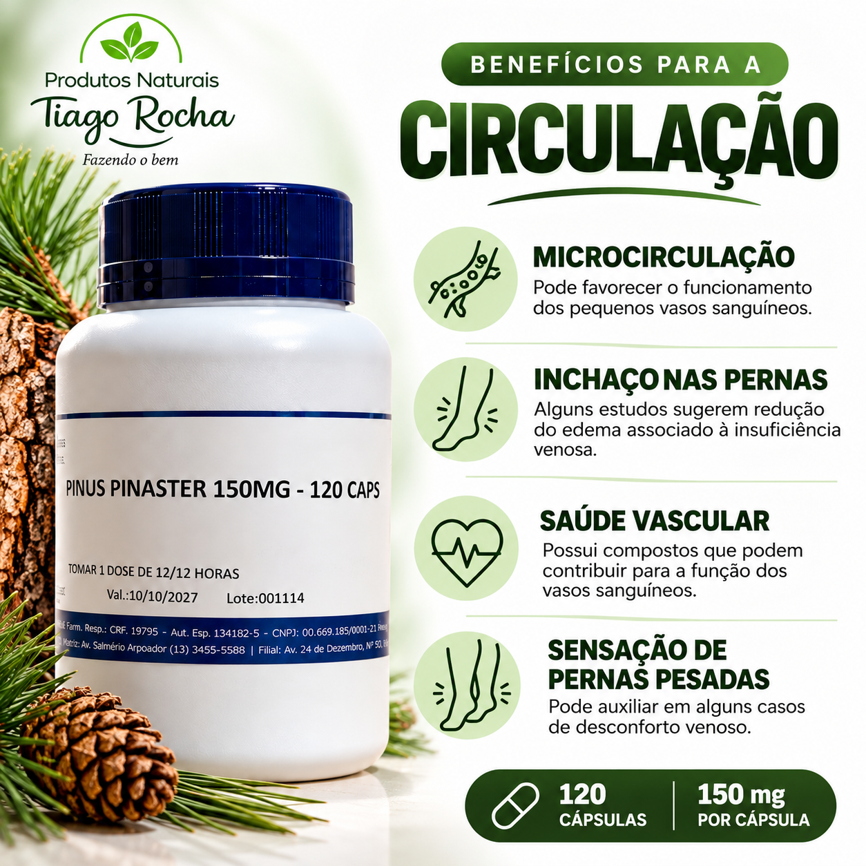 Pinus Pinaster 150 mg