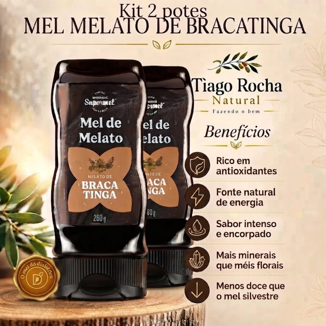 Kit2 Mel Premium Melato de Bracatinga 280G
